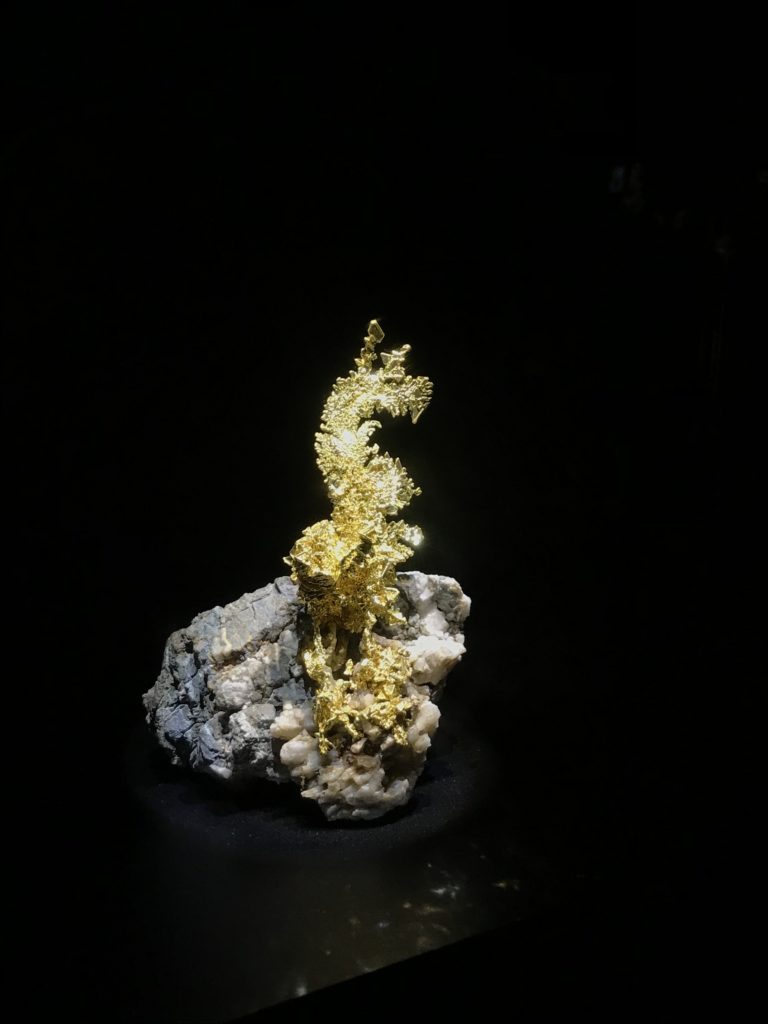The Dragon, gold and quartz. Found in California.
