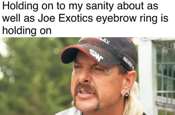 Joe Exotic Tiger King meme