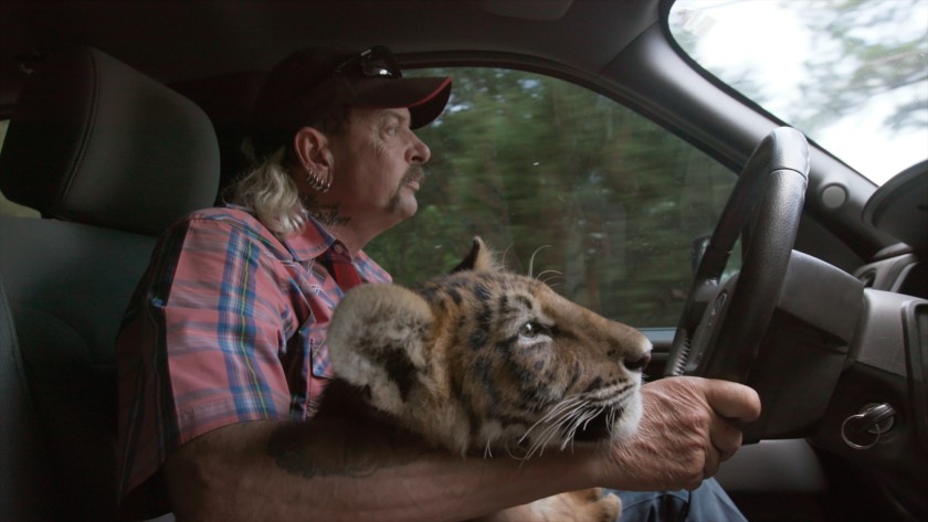 Joe Exotic of Tiger King driving a car with a tiger in his lap